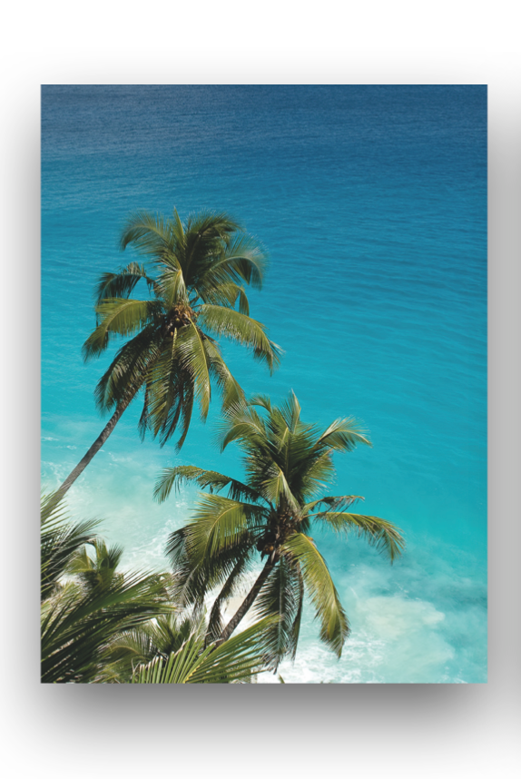 Fregate Island Note Pad